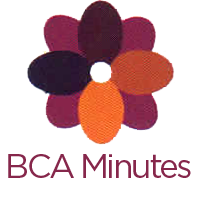 BCA Meeting Minutes – November 2015